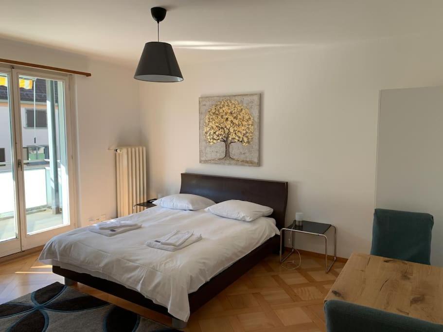 Sunny In The Center Apartment Zürich
